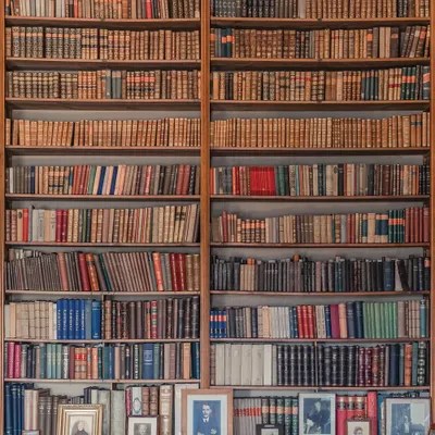 My Library Canvas Art by Miroslaw iCanvas