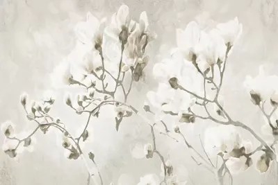 Bloom Through Cream Canvas Art by Milli Villa iCanvas