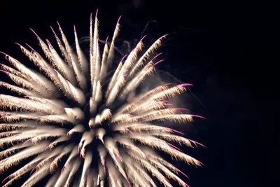 Sky Bloom Canvas Artwork by Nancy Crowell iCanvas