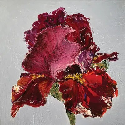 Iris On Grey Canvas Art by Oksana Petrova iCanvas