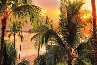 Kauai Tropical Island Canvas Art Print by OLena Art iCanvas