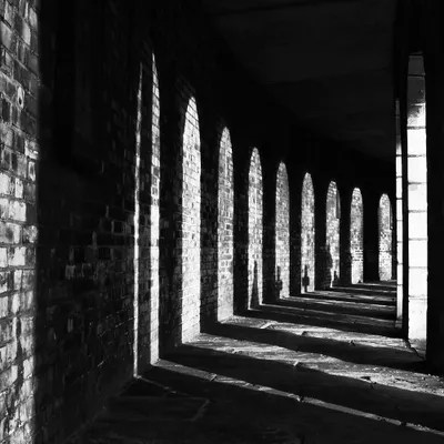 Brompton Shados Canvas Art by Mark Paulda iCanvas