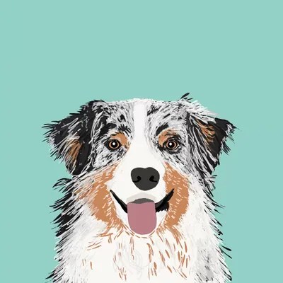 Australian Shepherd II Canvas Print by Pet Friendly iCanvas