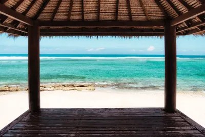 Ocean View Canvas Wall Art by Philippe Hugonnard iCanvas