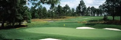 Golf course, Pine Needles Golf Course, Southern Pines