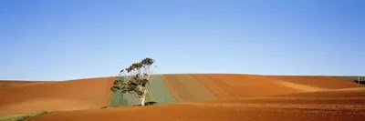 Australia Canvas Wall Art iCanvas