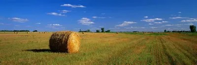 Bales Of Hay, South Dakota, USA Canvas Wall Art iCanvas