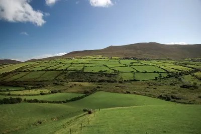 Irish Countryside, Ireland, Farms, Landscape... Patrick J. Wall iCanvas