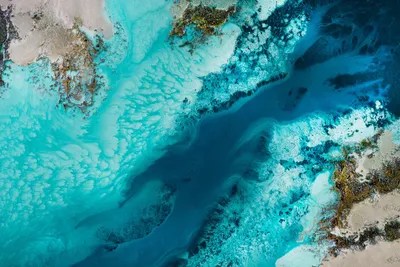 Salt Water Passage Canvas Wall Art by Petra Meikle de Vlas iCanvas