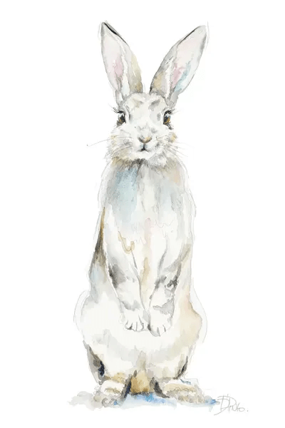 Cute Rabbit Canvas Artwork by Patricia Pinto iCanvas
