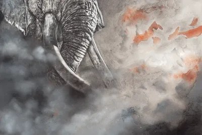 Raging Bull Canvas Artwork by Peter Williams iCanvas