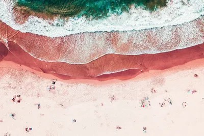 Pink Beach Art Print by Radu Bercan iCanvas