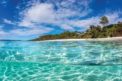 Hyams Beach Perfection Canvas Wall Art by Jordan Robins iCanvas