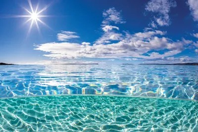 Over Under Hyams Beach Canvas Artwork by Jordan Robins iCanvas