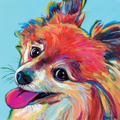 Pomeranian Canvas Print by Robert Phelps iCanvas