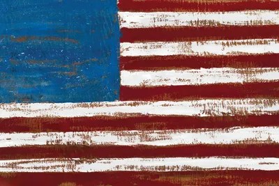 Artistic American Flag Canvas Art Print by Gina Ritter iCanvas