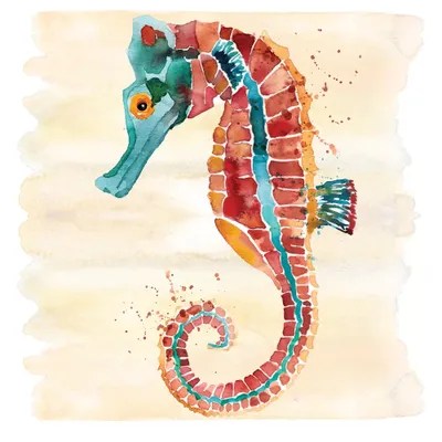 Seahorse Canvas Artwork by Sara Berrenson iCanvas
