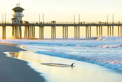 Huntington Beach Pier Canvas Art Print by Sean Davey iCanvas