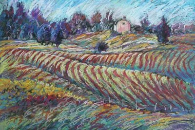 Rolling Hills Canvas Art Print by Sharon Sunday iCanvas