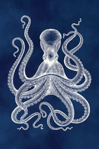 Hamptons Octopus Canvas Art by Jania Sharipzhanova iCanvas