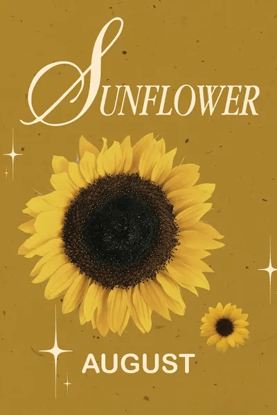 August Birth Flower Is Sunflower Canvas Print Jania Sharipzhanova