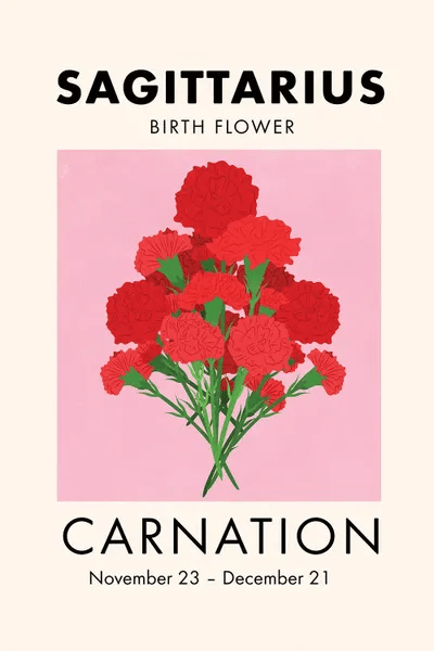 Sagittarius Birth Flower Canvas Print by Jania Sharipzhanova iCanvas