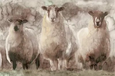 Three Sheep Canvas Art Print by Stellar Design Studio iCanvas