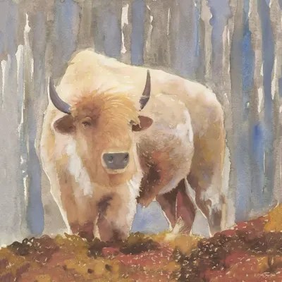 White Buffalo Art Print by Stellar Design Studio iCanvas