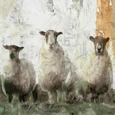 Three Sheep Canvas Wall Art by Stellar Design Studio iCanvas
