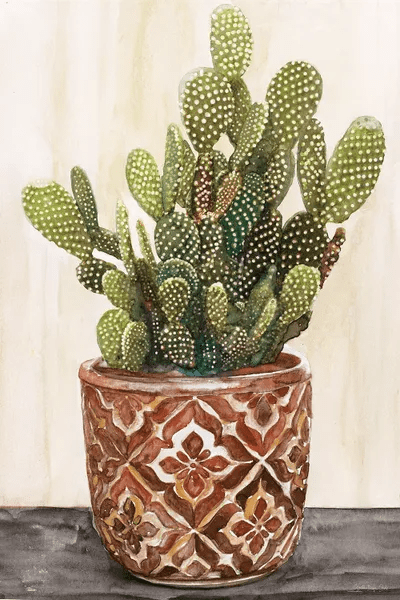 Potted Cactus II Canvas Print by Stellar Design Studio iCanvas