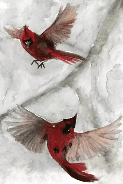 Cardinals I Canvas Print by Stellar Design Studio iCanvas