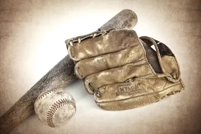 Baseball Bat Glove Canvas Art by Saint and Sailor Studios iCanvas