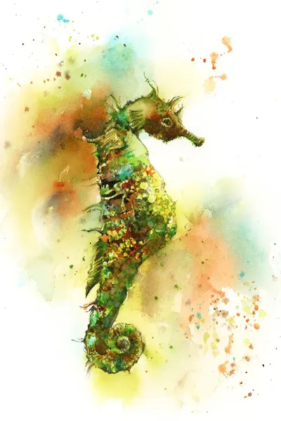 Seahorse Canvas Wall Art by Sophie Rodionov iCanvas