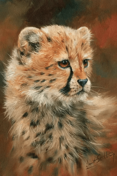 Cheetah Cub Canvas Artwork by David Stribbling iCanvas
