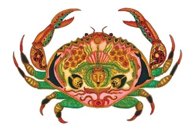 Crab Canvas Art Print by Sue Coccia iCanvas