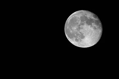 Full Moon Canvas Art by Susan Vizvary iCanvas