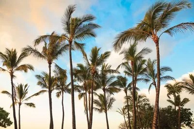 KalokoHonokohau Beach Park near Kona Art Print Stuart Westmorland
