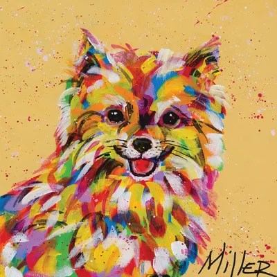 Pomeranian Art Print by Tracy Miller iCanvas