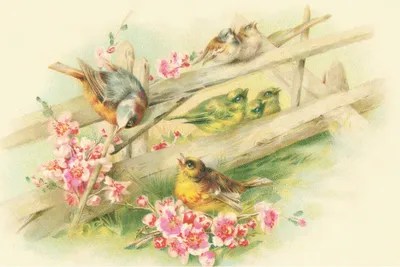 Birds On A Fence Canvas Print by Tina Higgins iCanvas