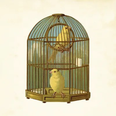 Bird Cage Canvas Artwork by Tina Higgins iCanvas