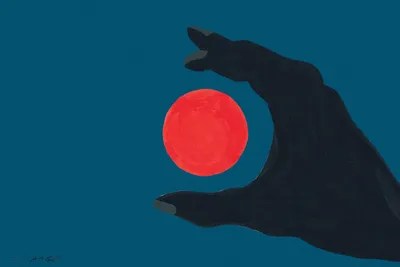 Catching The Sun Canvas Art by TJ Agbo iCanvas