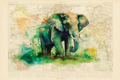 Elephant Canvas Print by TOMADEE iCanvas