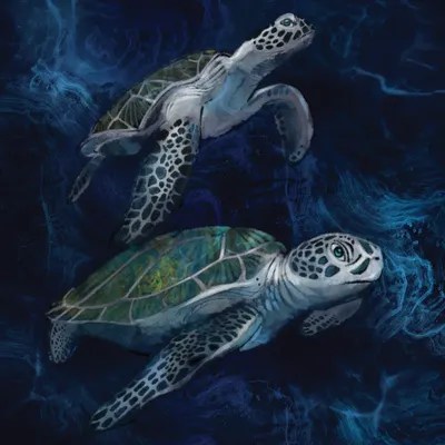Green Sea Turtles Canvas Print by Thomas Little iCanvas
