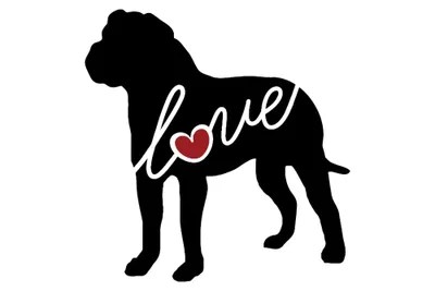 American Bulldog Canvas Artwork by Traci Anderson iCanvas