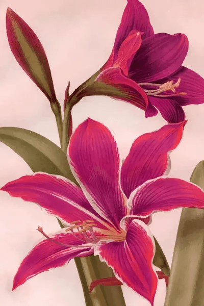 Vintage Floral Canvas Print by 83 Oranges iCanvas