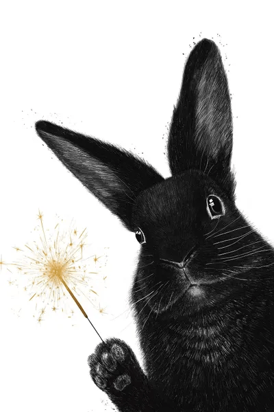 Rabbit With Sparkler Canvas Art Print by Valeriya Korenkova iCanvas