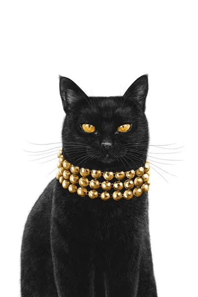 Luxury Black Cat Canvas Art Print by Valeriya Korenkova iCanvas