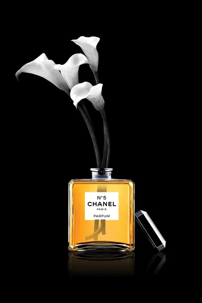 Chanel Vase Canvas Wall Art by Alexandre Venancio iCanvas