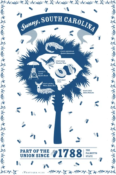 South Carolina Canvas Print by Vestiges iCanvas