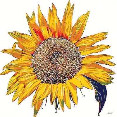 Sunflowers Canvas Artwork by Vitali Komarov iCanvas